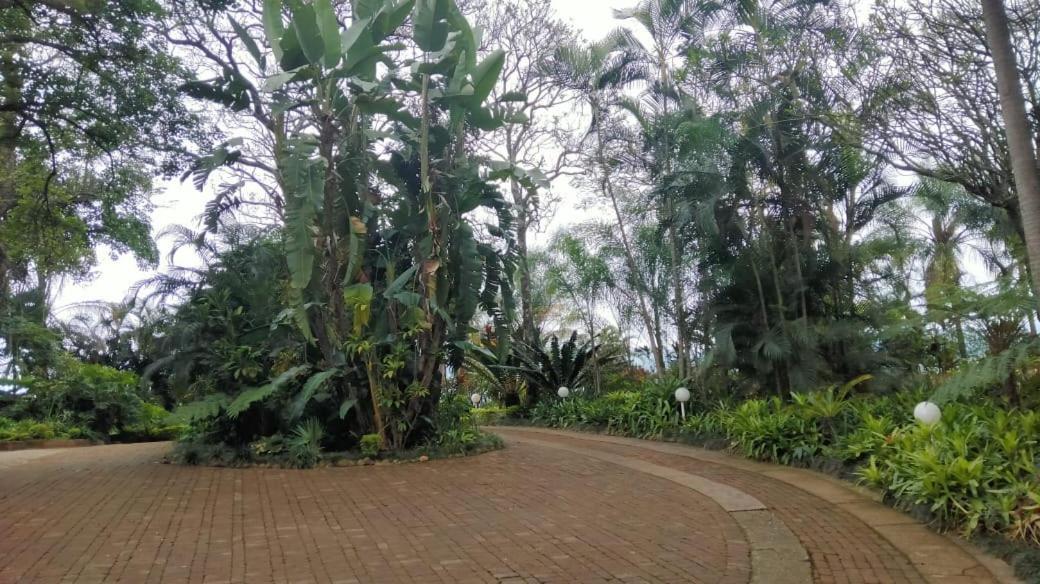 St George's Guest House Tzaneen Zimmer foto
